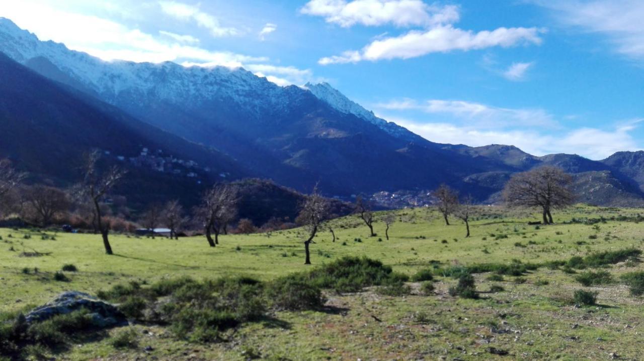 Appartement Raffine A Feliceto 120 M² Avec Vue Sur Montagne Bagian luar foto