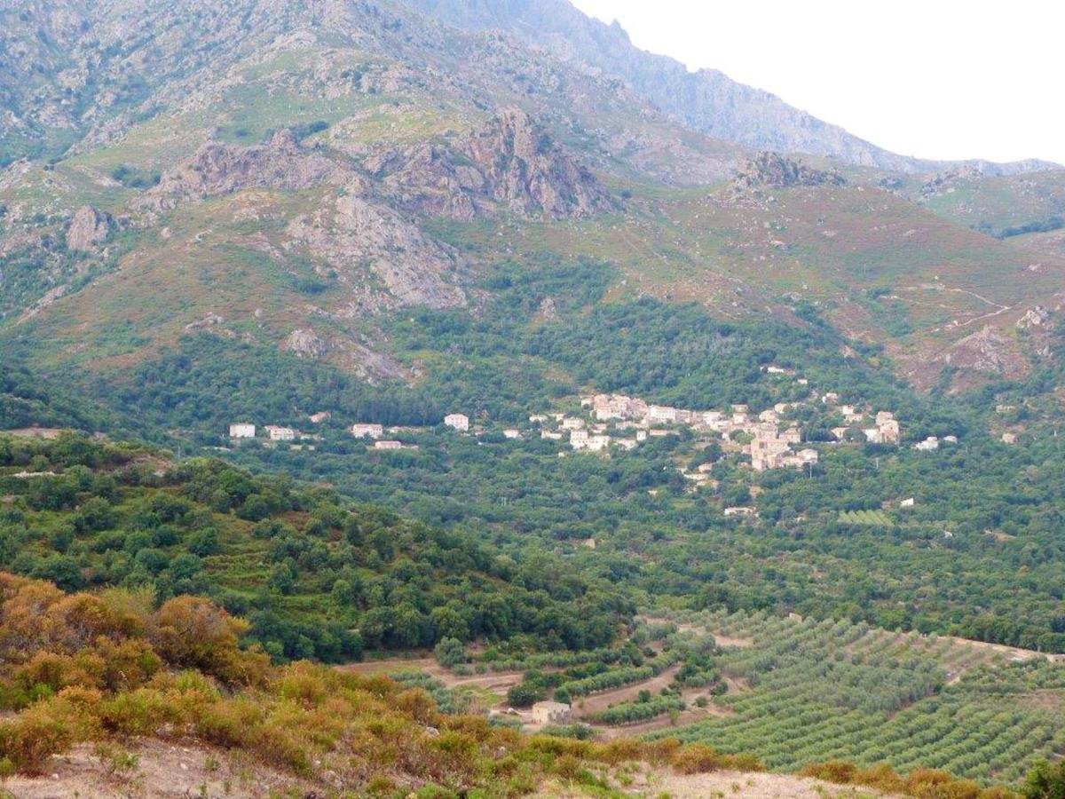 Appartement Raffine A Feliceto 120 M² Avec Vue Sur Montagne Bagian luar foto